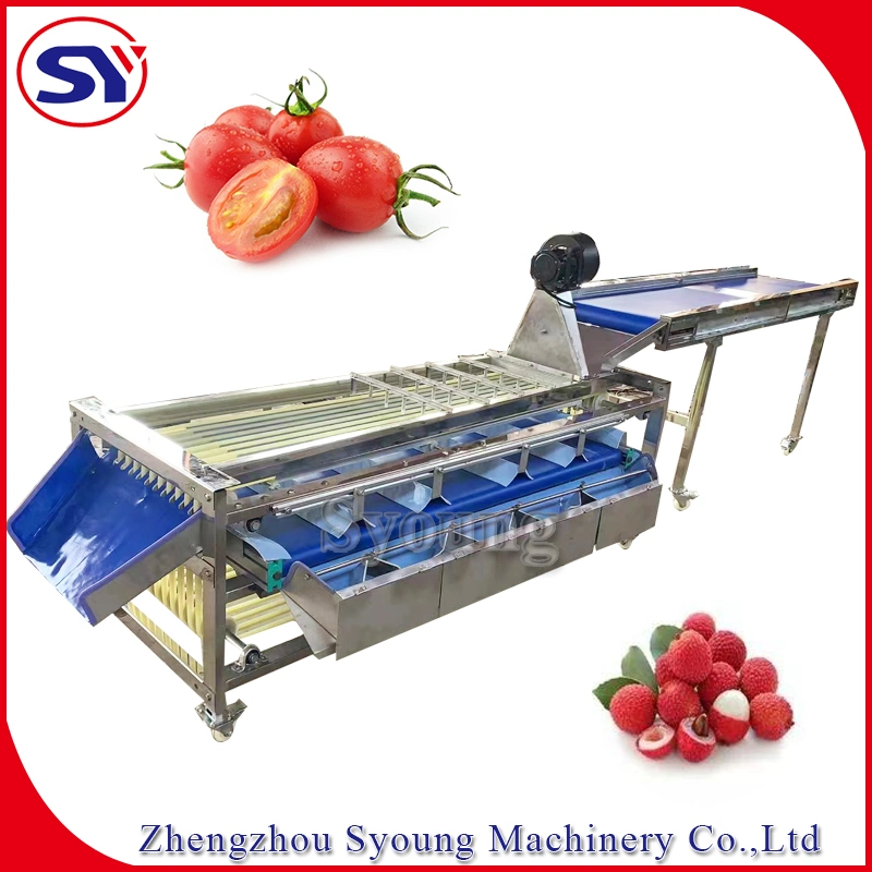 Jujube Date Longan Track Fruit Sorting Grading Machine