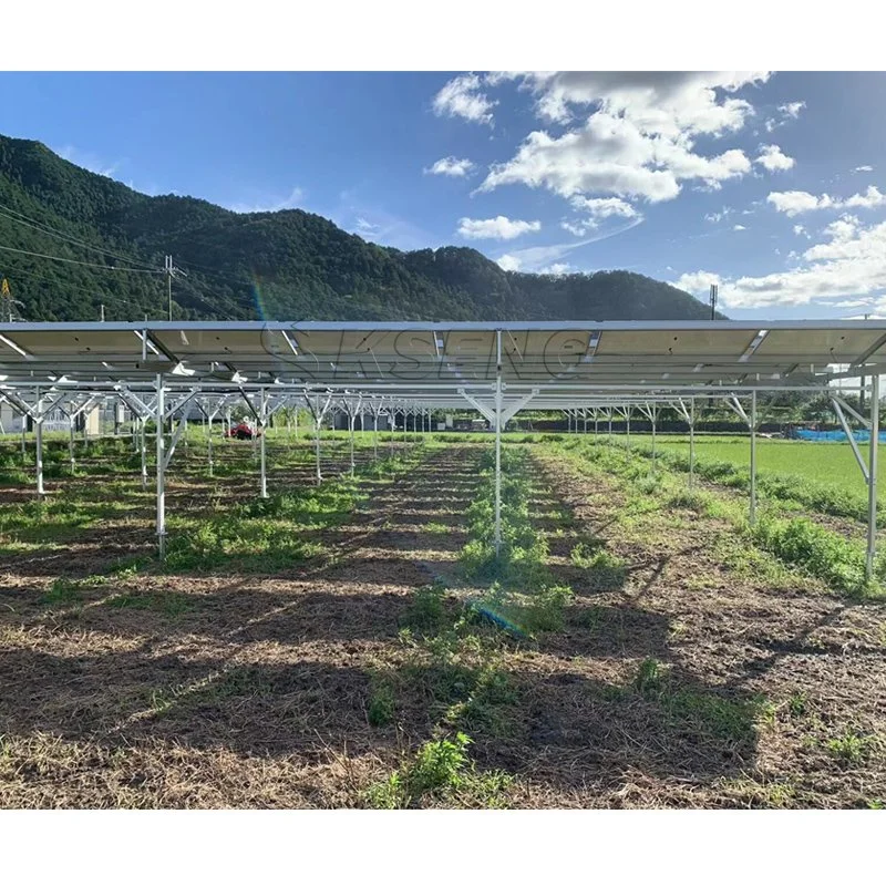 Chinesischer Hersteller Solar Greenhouse Montage Struktur Photovoltaik Landwirtschaft Mount System