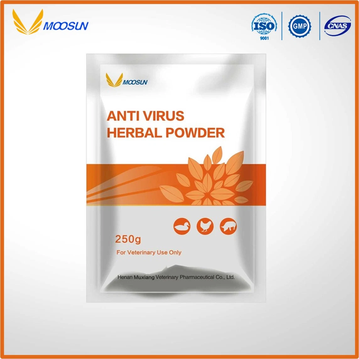 Chinese Manufacture Herbal Veterinary Medicine Anti-Bacteria Herbal Powder for Animals Use with GMP ISO