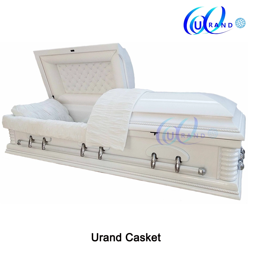 Best Price Air Force Solid Poplar Coffin and Casket