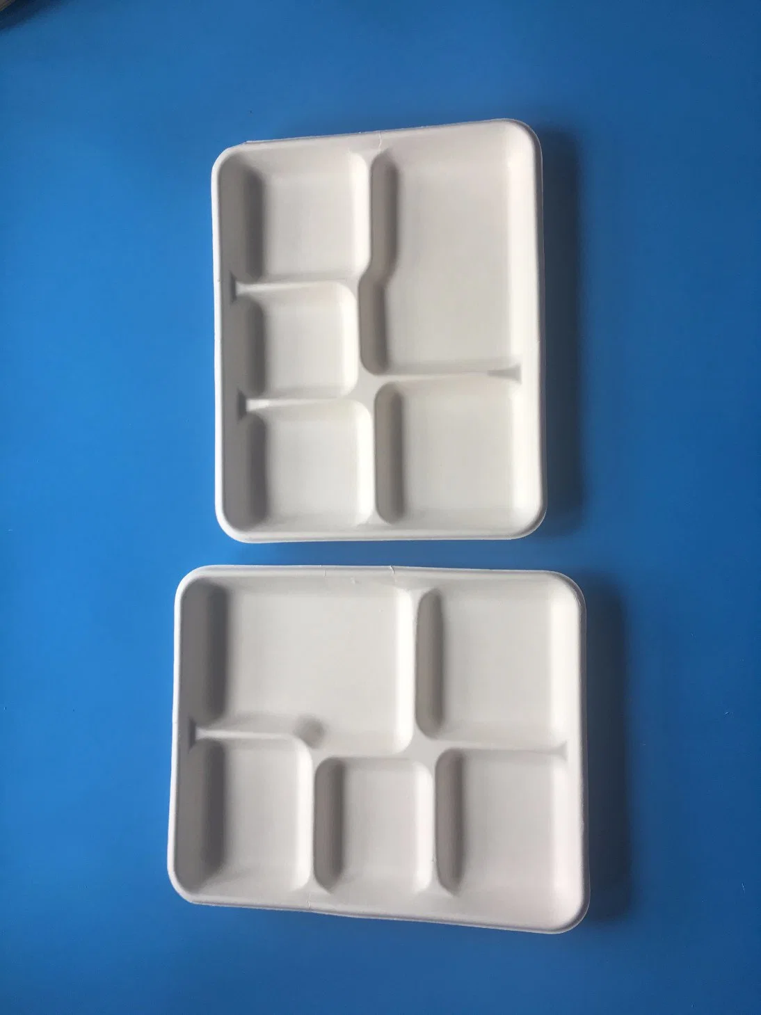 Disposable Biodegradable Bagasse Pulp Paper Food Packaging Plate 5 Cells Manufactury Sell