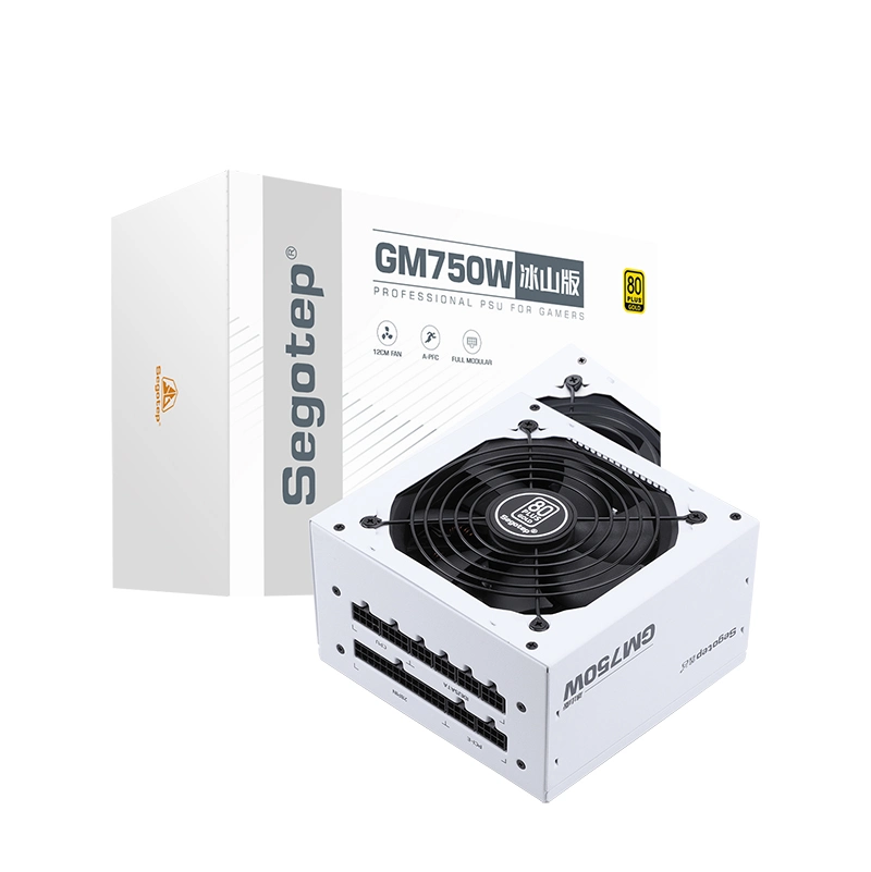 Segotep-650W-750W-850w ATX كمبيوتر شخصي-ألعاب-PSU-Pcie5.0-80PLUS-Gold--ATX-Switching-Power-Supply-White