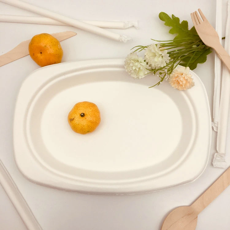 Hot Selling Sugarcane Bagasse Plates Medium Oval Plate