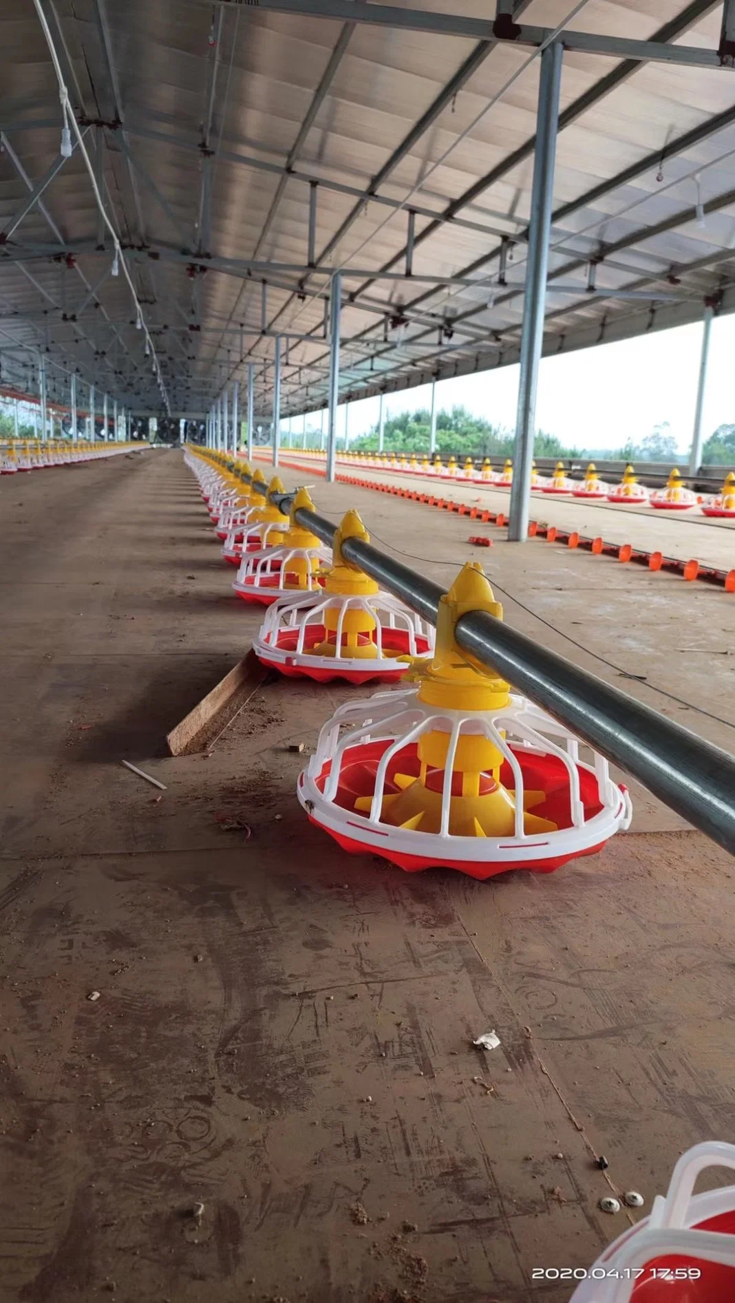 Equipamento do sistema automático de alimentação de frangos de corte para a Fazenda de criação de frangos de corte Gado