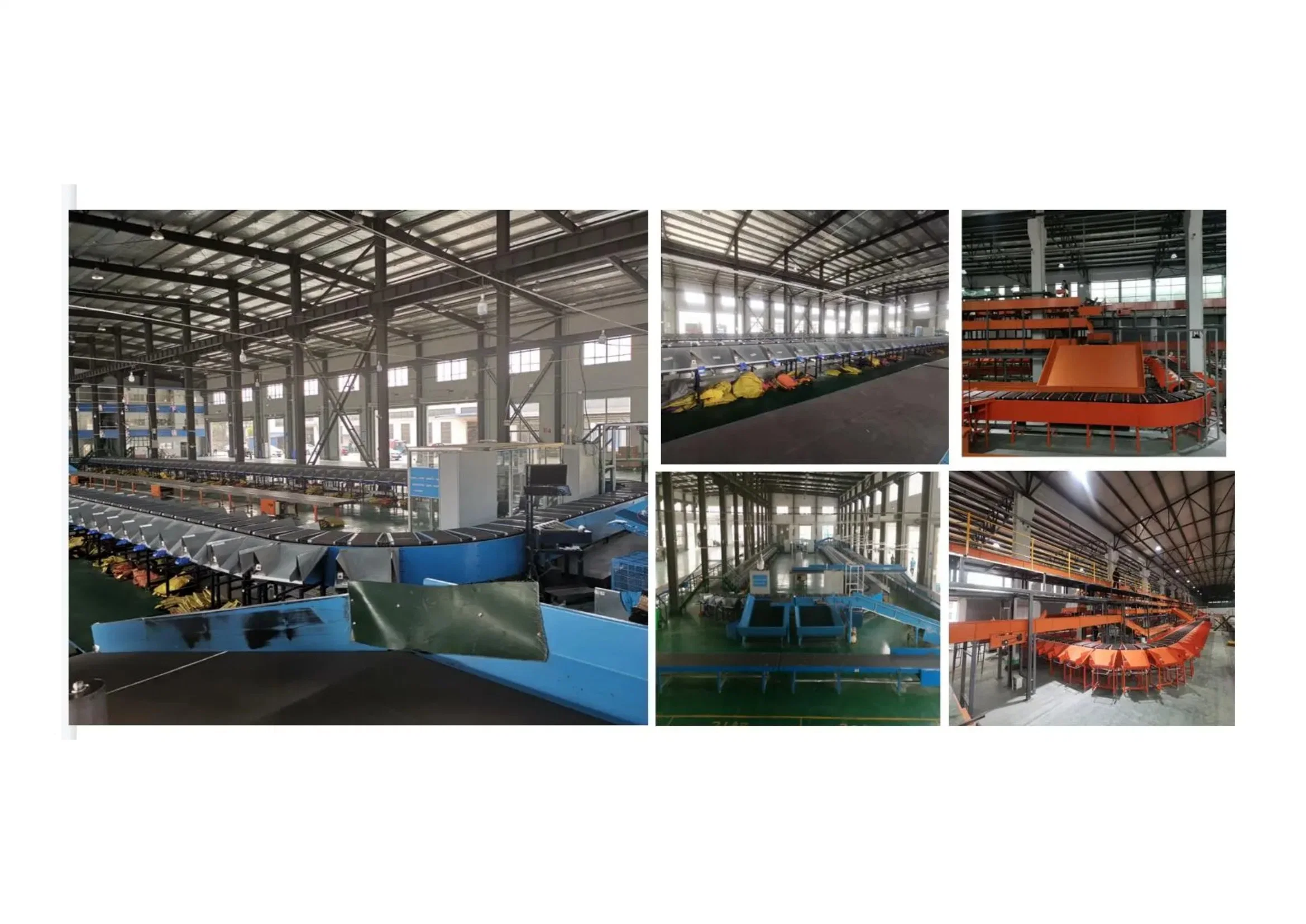 Logistics Sorting Equipment Sorting Large and Medium-Sized Parcels Circular Narrow Belt Cross Belt System