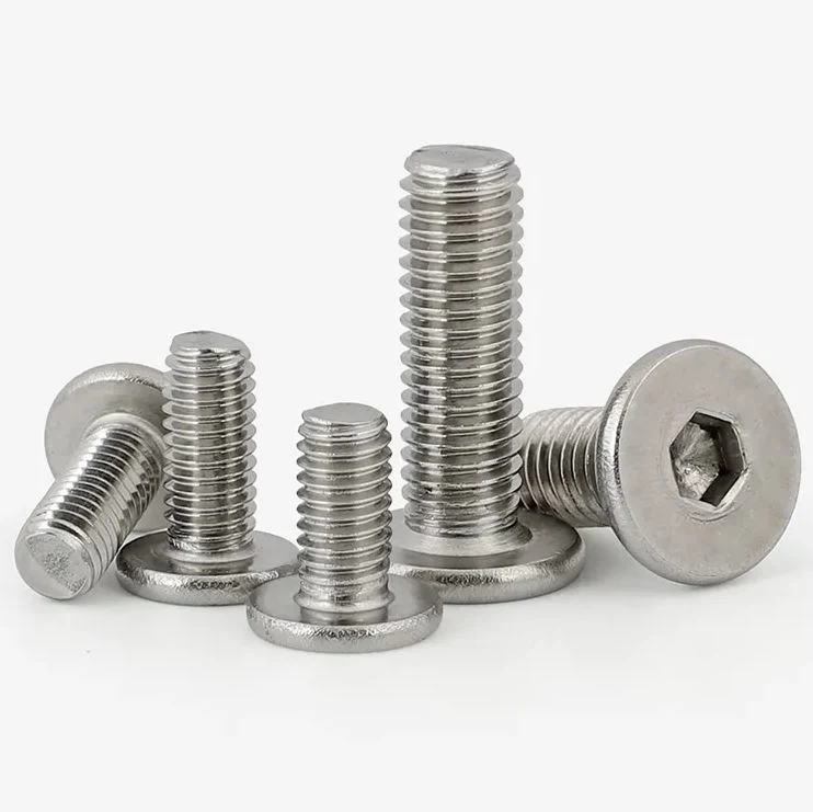 M2 M2.5 M3 M4 M5 M6 M8 Stainless Steel Ss Allen Wafer Ultra Low Profile Thin Flat Head Hexagon Socket Machine Screws