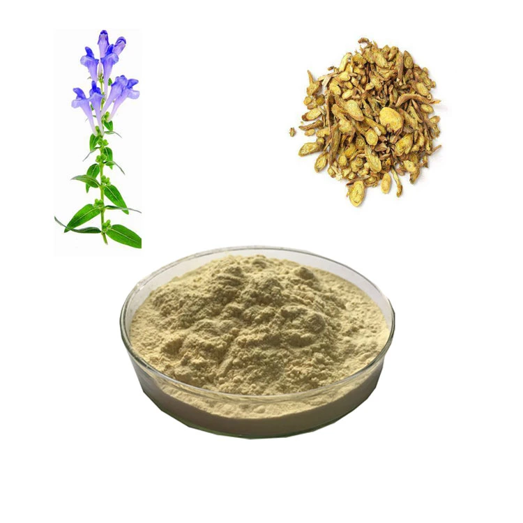 Lifecare Skullcap Plant Scutellaria Lateriflora 85% extrait de Baicalin Skullcap