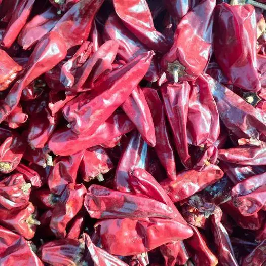 Top Product 100% Pure Dried Chili