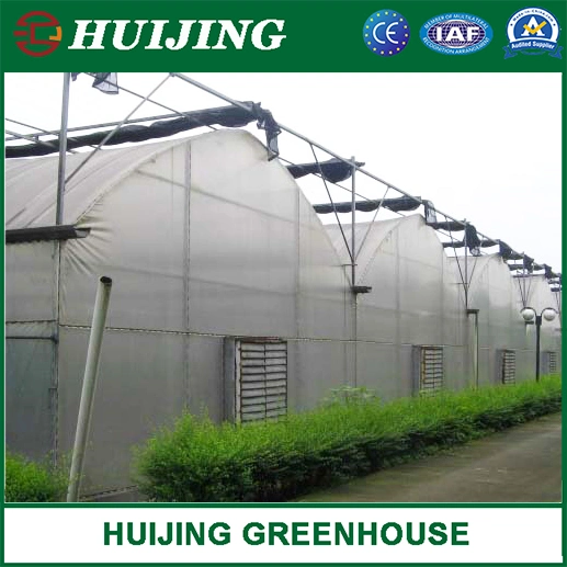 Plastic Film/Polycarbonate/Glass Tomato Greenhouse for Sale