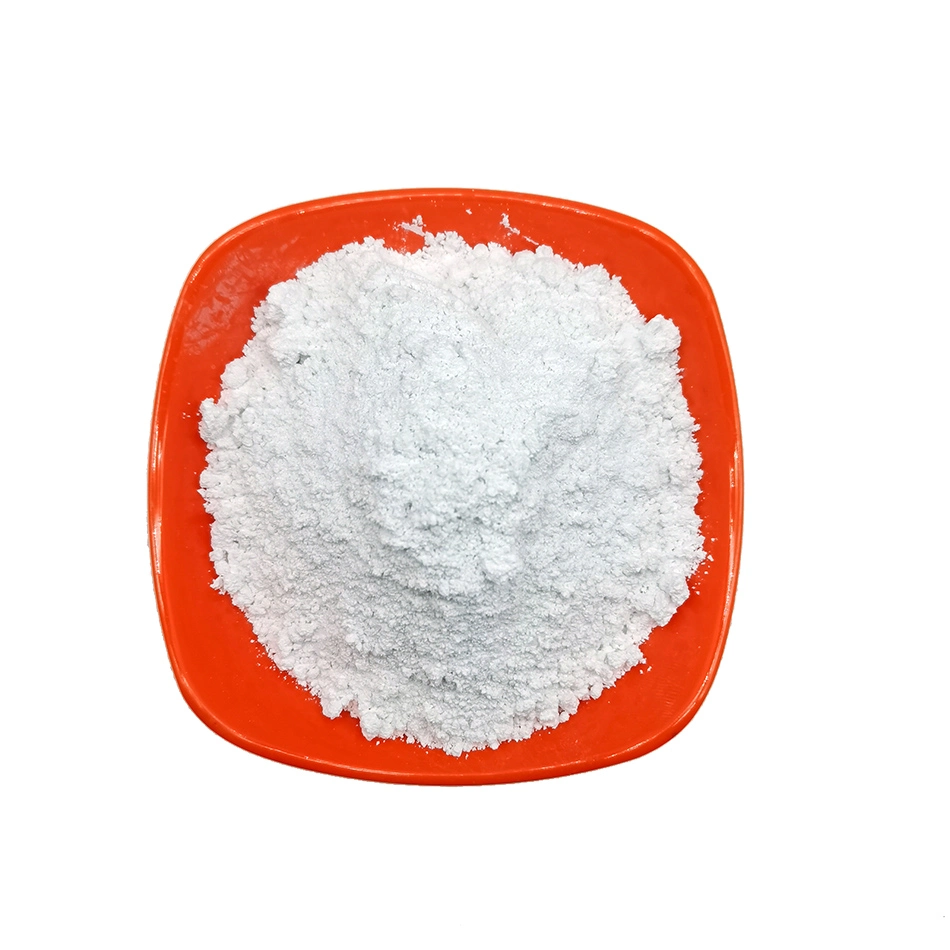 Original Factory Price TiO2 Titanium Dioxide Rutile Type Powder for Pigment