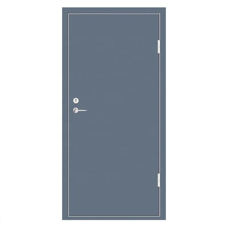 Flush Design Fireproof Steel Door School Classroom Fire Rated Smoke Control Doors with Ral Colors