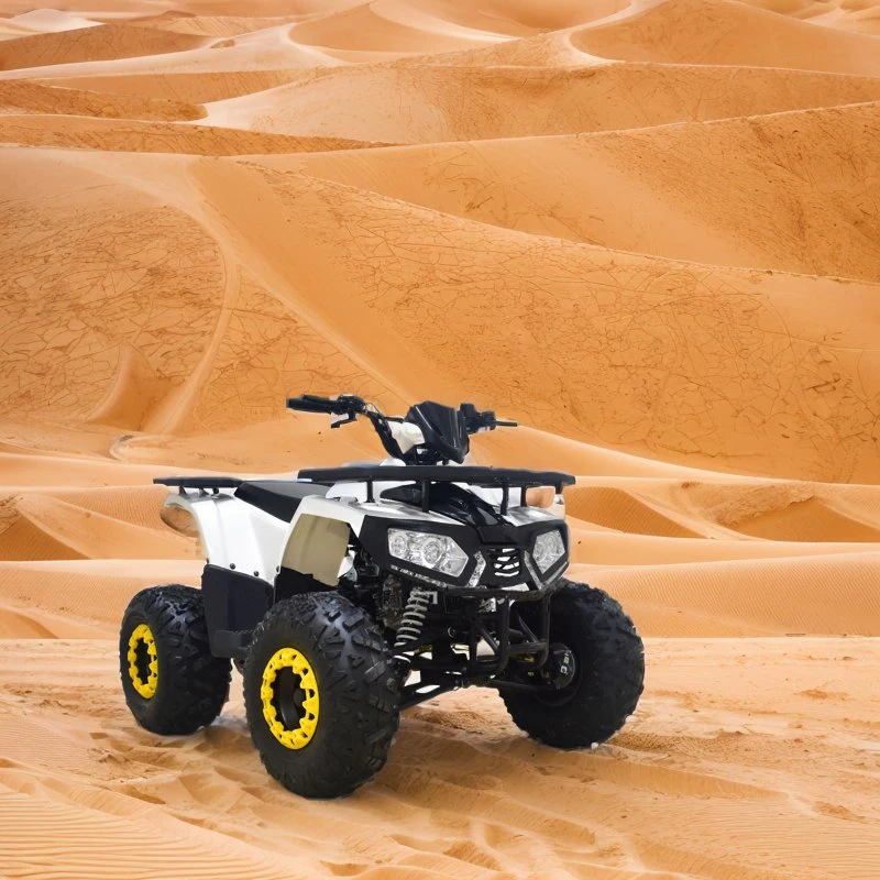 90cc Small and Medium-Sized Strong Power Cool off-Road ATV