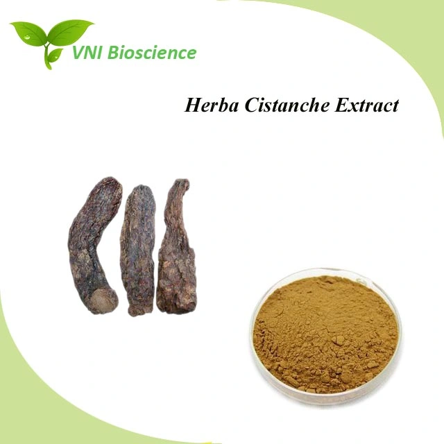 Manufacturer Supply Natural Cistanche Plant Extract with Aphrodisiac Effect