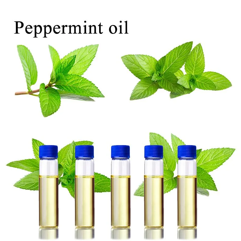 Peppermint Oil Factory Supply 100% Natural Peppermint Essential Oil CAS 8006-90-4