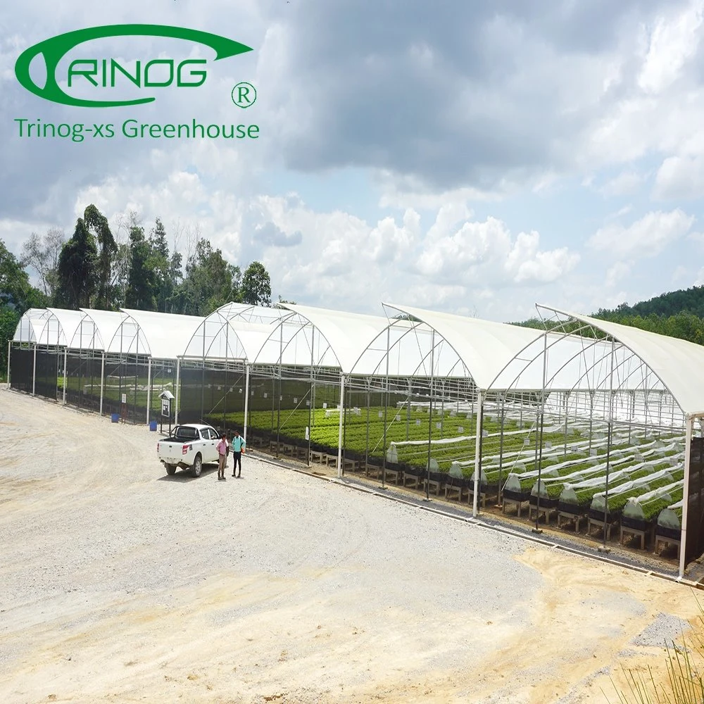 Agricultural HDPE Poly tunnel greenhouse with high quality for sale