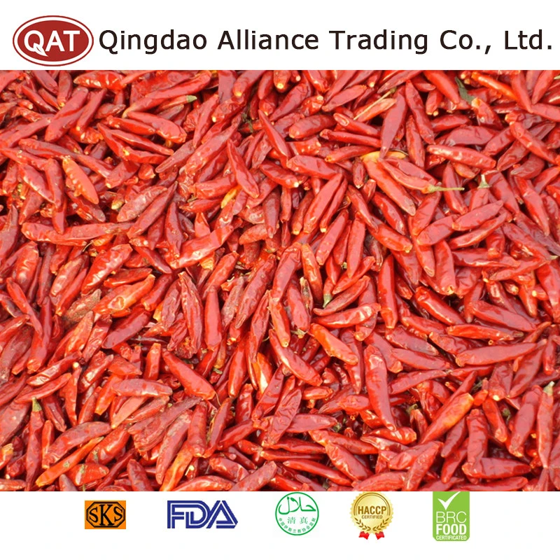 Red Dry Chili for Exporting