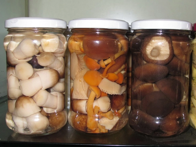 Healthy Foods Canned Fresh Straw Mushroom Whole in Tin Packing