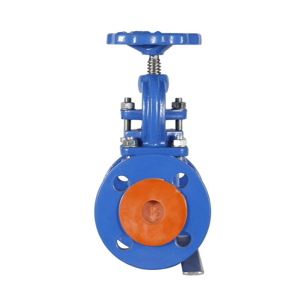 Pn 16 Dn100 Cast Iron Globe Valve