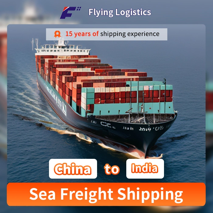 Professional and High-Quality Shenzhen Express to India Maritime Logistics Service Company