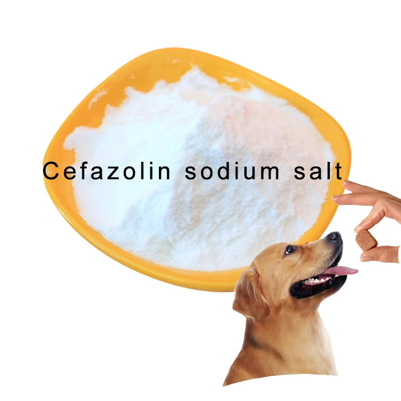 Suministro de materias primas CAS 27164-46-1 Cefazolina Sodio Salt Powder