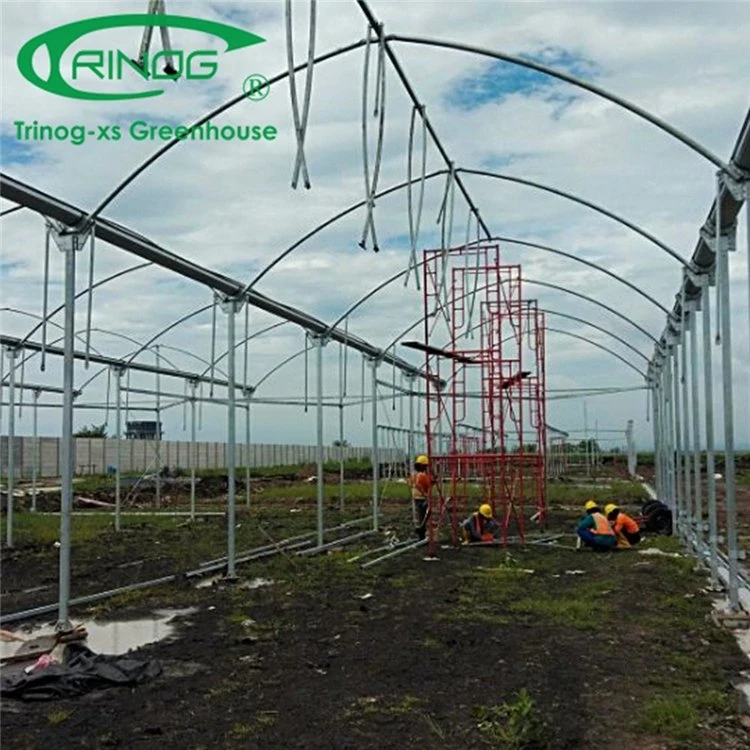 Tamanho grande preço de fábrica de tubos de aço galvanizado Multi-span agrícolas Estufa de filme com boa qualidade