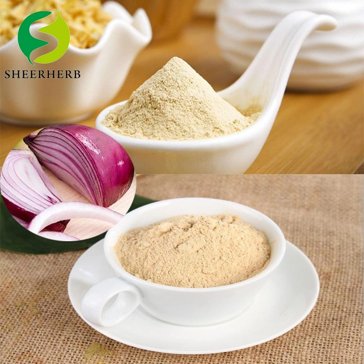 Sheerherb Hot Salling Onion Cheese Dressings Lactic Acid Powder with Good Quality Onion Powder