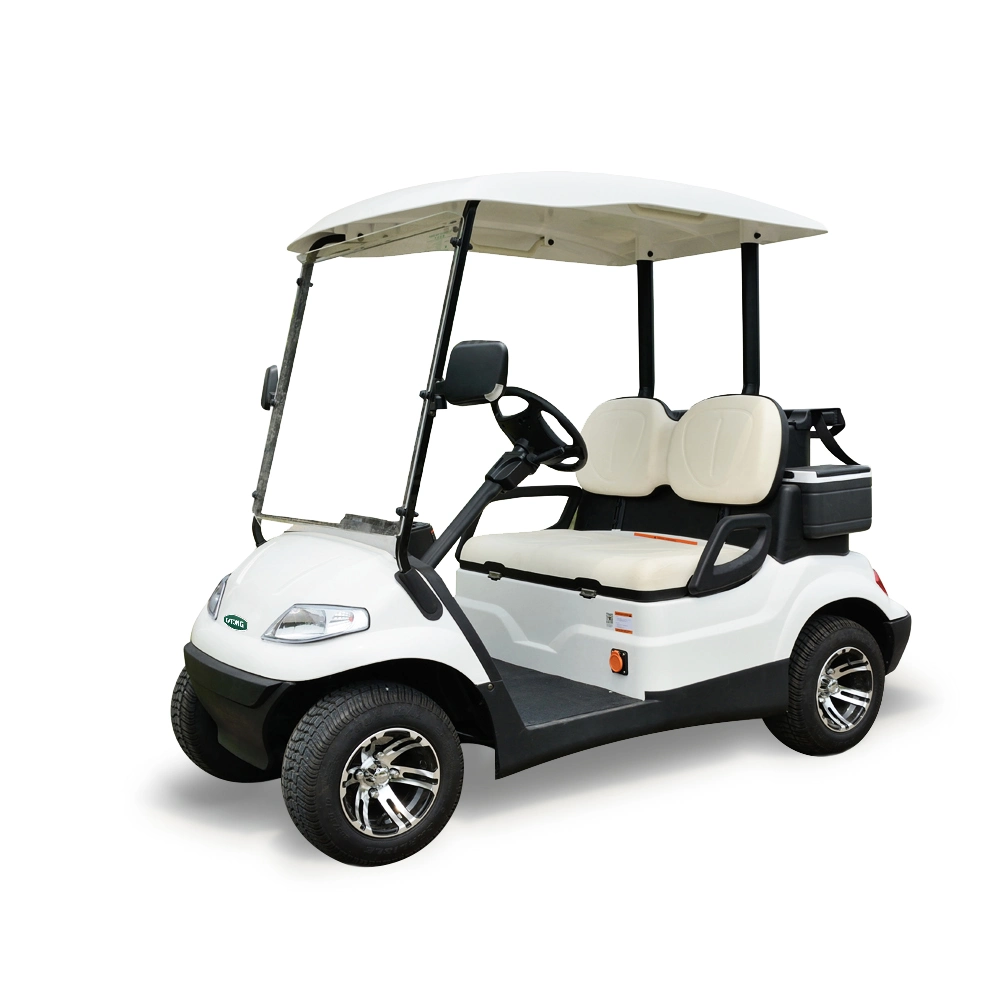 48V Batería de conducción Legal cochecito de golf de 4 ruedas motrices poder fuerte Batería de litio de alta calidad de 2 pasajeros coche eléctrico