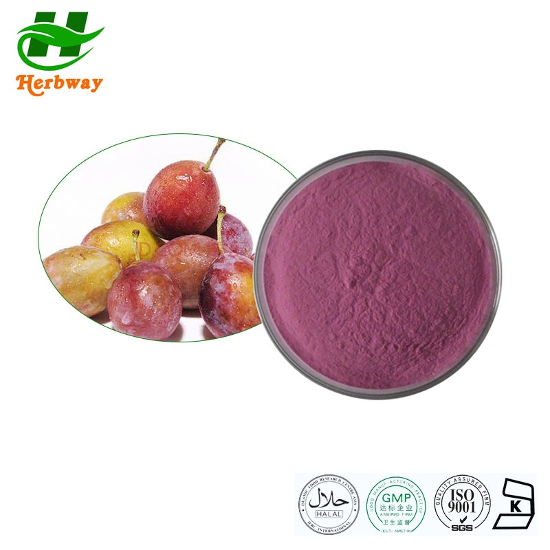 Herbway Kosher Halal Fssc HACCP Certified Wholesale Price Instant Concentrate Powder