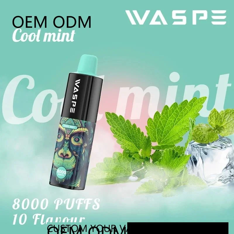 Waspe 8000 Puff Zbood Private label USB C Freemax Charge Type C Infy Wonder G10 Atomizer Disposable Vape