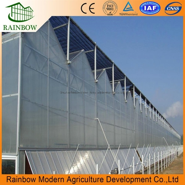 Agricultural Vegetables Greenhouse Used Polycarbonate Sheet