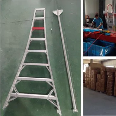 Heavy Duty Adjustable 1A Type Orchard Aluminum Tripod Ladder for Fruit Picking