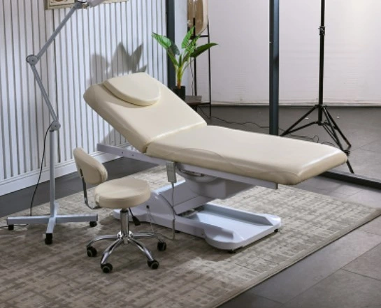 Beauty Salon Furniture Electric Adjustable Facial Bed Tattoo Chair with 3 Motors