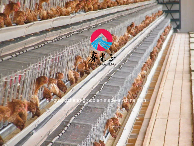 Low Cost H Type Layer Chicken Cage Equipment with Factory Price