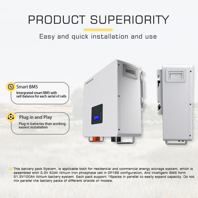 51.2V 100ah 5.12kwh Smart BMS Protection Home Industry Wall Mount Energy Storage LiFePO4 Lithium Battery