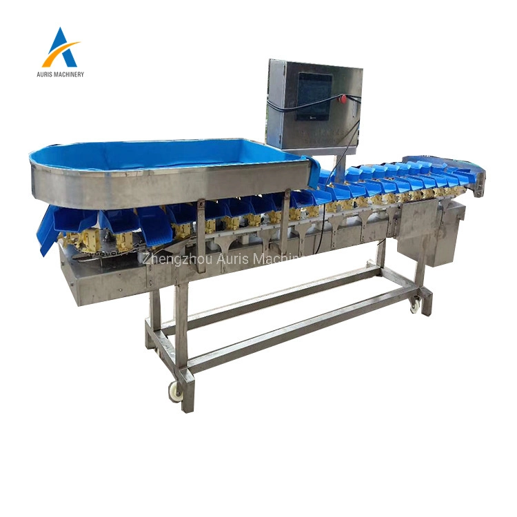 Fruit Processing Machinery Roller Olive Date Cherry Sorting Machine Kiwi Blueberry Grading Machine