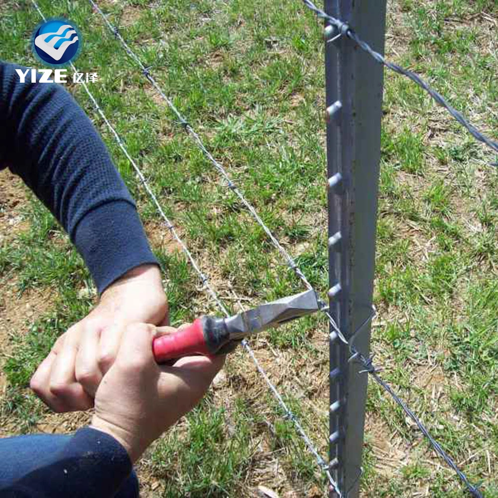 Coluna de cerca de tubos pinados de aço americano Metal pintado a verde T post coluna de cerca de metal de exploração