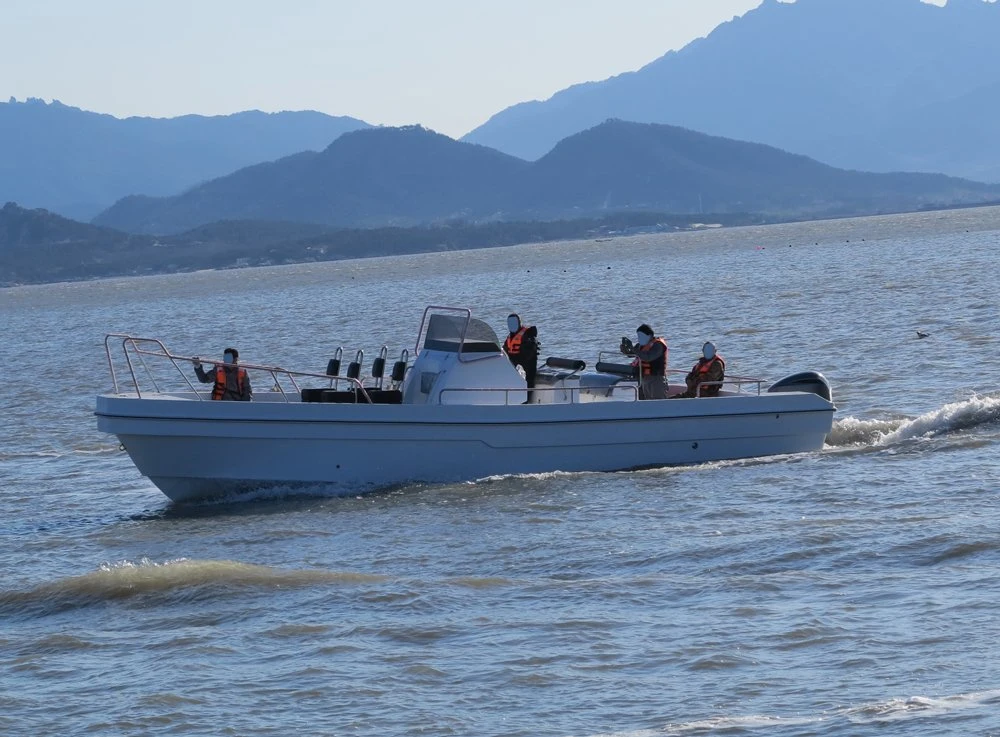 Aqualand 33feet 10m 18persons Fiberglass Speed Rescue Patrol/Passenger Water Taxi/Sport Panga Angelmotortauchboot (330c) mit CE B Klasse Zertifikat