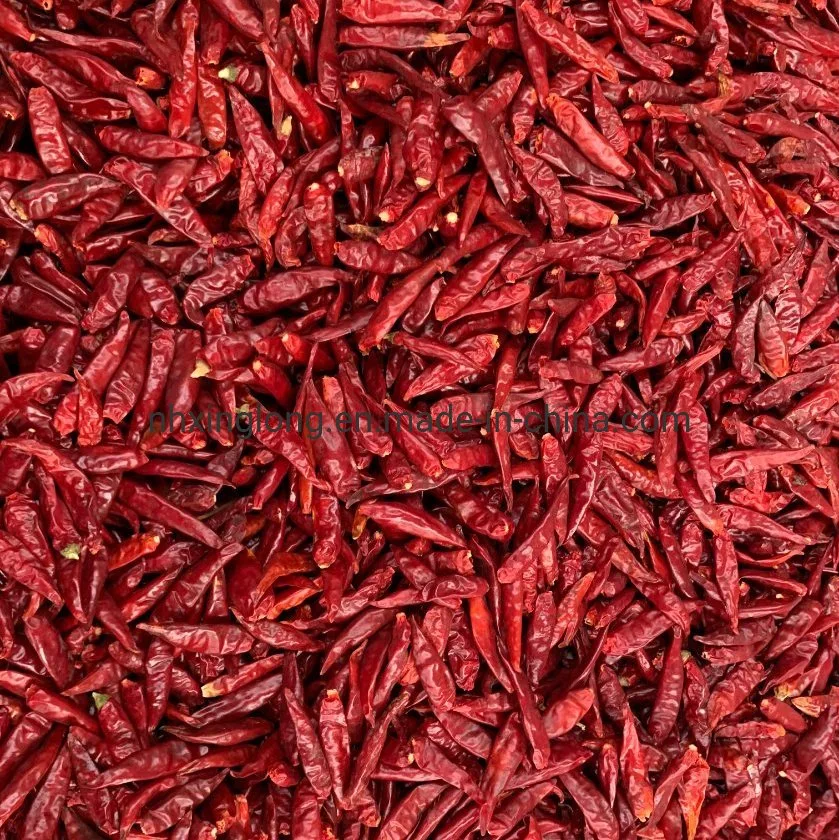 Premiun Qualität Getrocknete Rote Heiße Kleine Chili Pfeffer