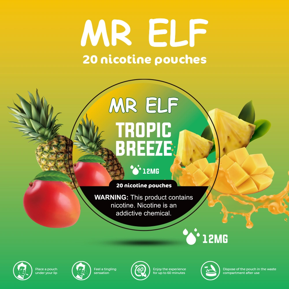 Meilleures ventes de tabac sans nicotine Pouch 12mg MR Elf sans fumée Sachets de nicotine Snus 20 paquets vs tabac sans fumée grizzli