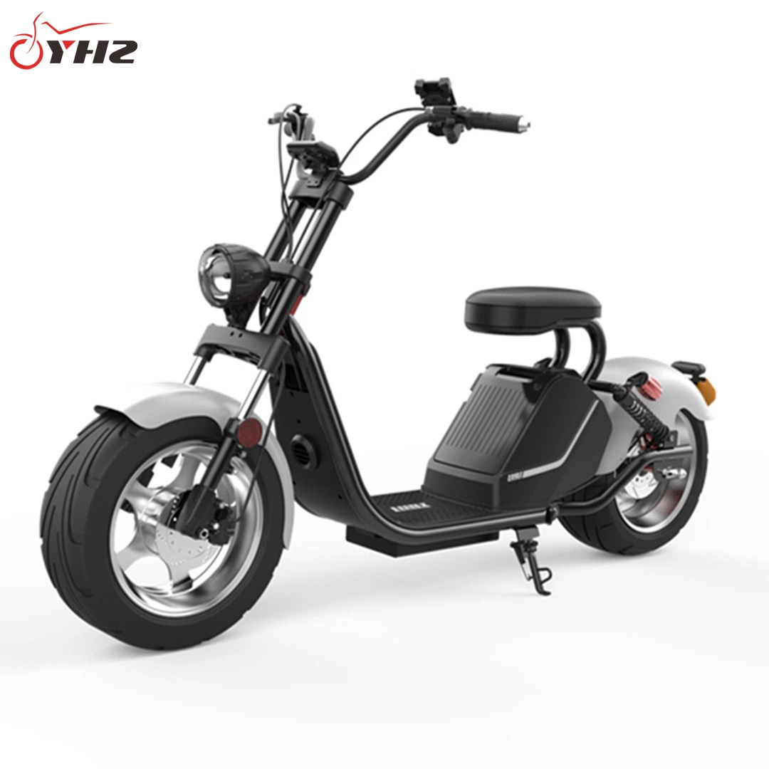 EEC 3000W Fat Tire Electric Motorcycle