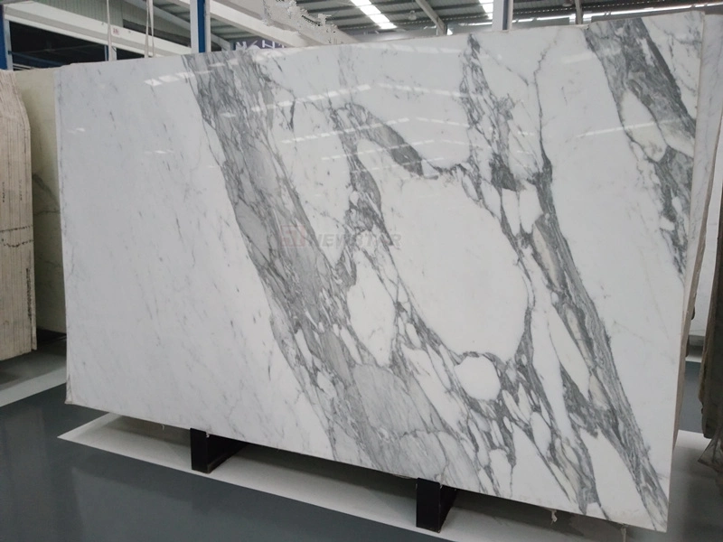 Precio de fábrica Cuarto de baño Countertop Losas blancas muestra libre de piedra natural Blanco Calcatta mármol Slab pared y suelo decoración mármol