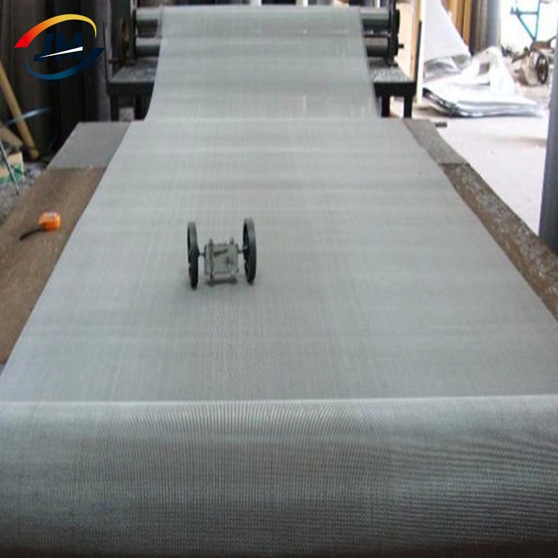 Exporting Quality 200 300 Micron Stainless Steel Ss 304 316 316L 904L 310S Stainless Steel Woven Wire Mesh Cloth