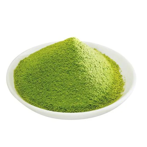 Extrait de plante pur et naturel extrait de thé vert matcha