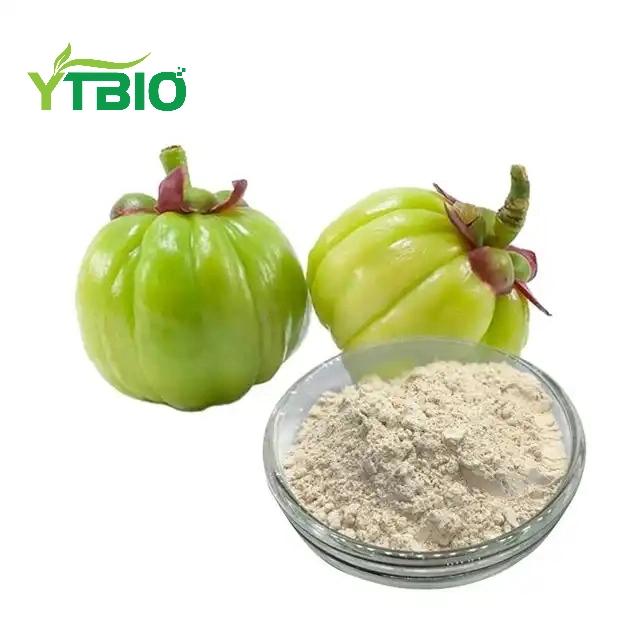 High Quality Garcinia Cambogia Extract Powder 50% 60% Hydroxycitric Acid