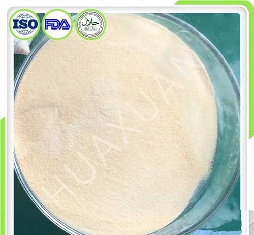 Big Production Scale Industrial Collagen for Extracting Amino Acid