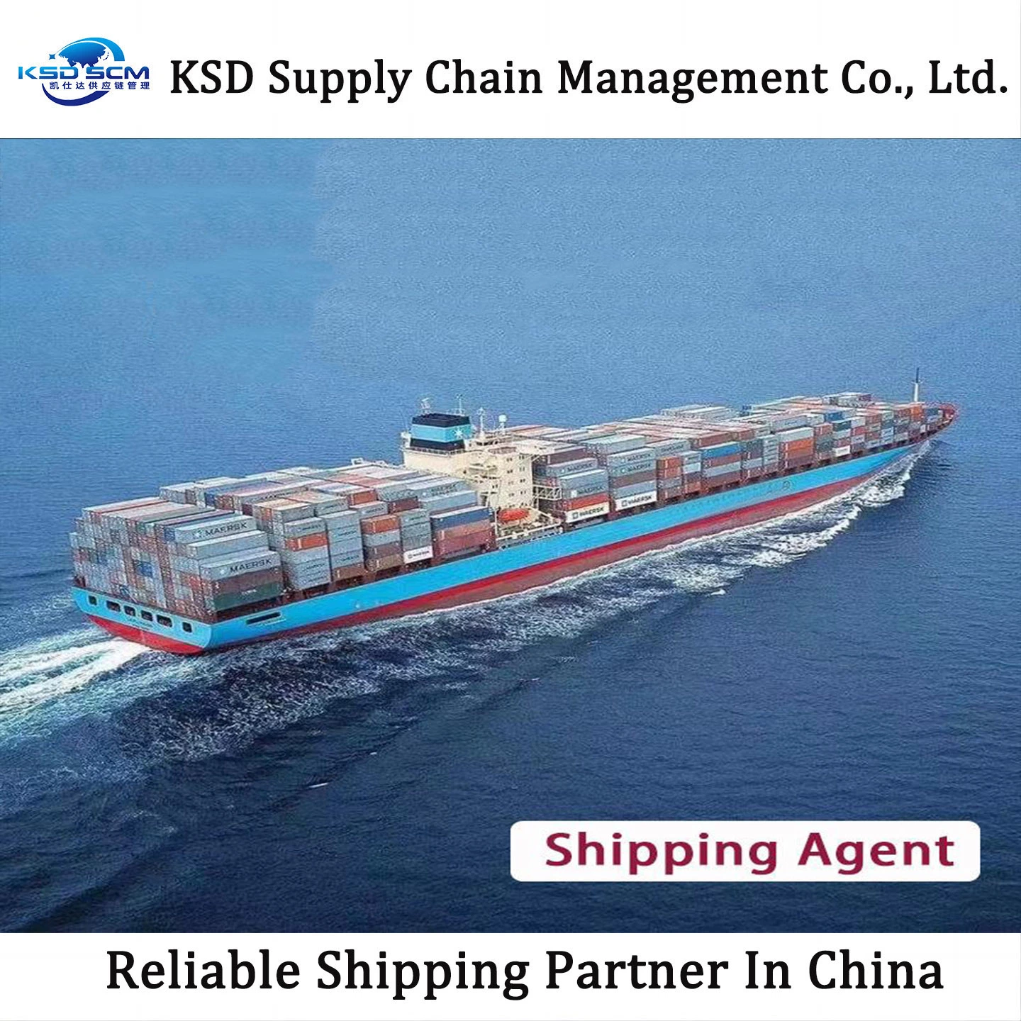 Super-Large Size Product Port to Port Shipping Services From China to Indian with Ocean Freight