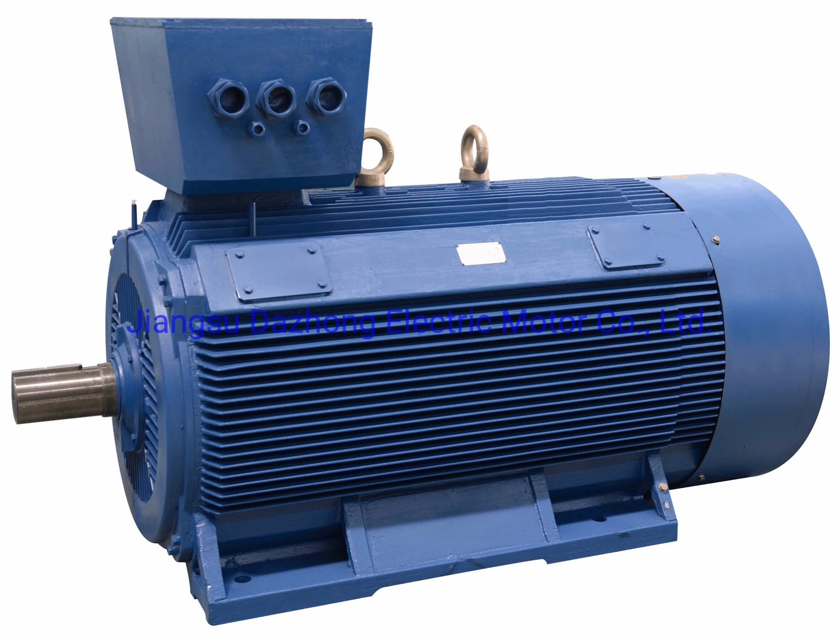 Y2 Compact High Voltage Efficiency AC Motor Electric Motor IP54/IP55 3000V 3300V