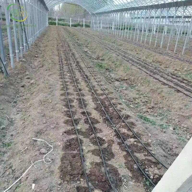 High quality/High cost performance  Automatic Drip Irrigation System for Greenhouse