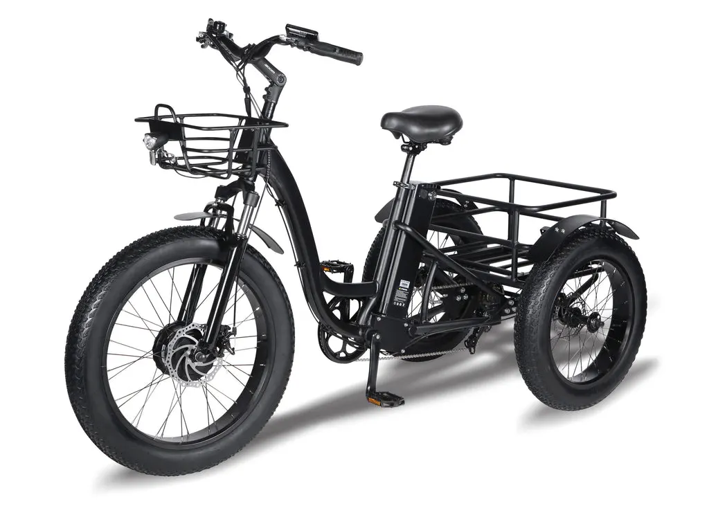 Imn OEM Ebike Fat Trike 3-Wheel Cargo Fat Tire 48V15.6ah Ebike