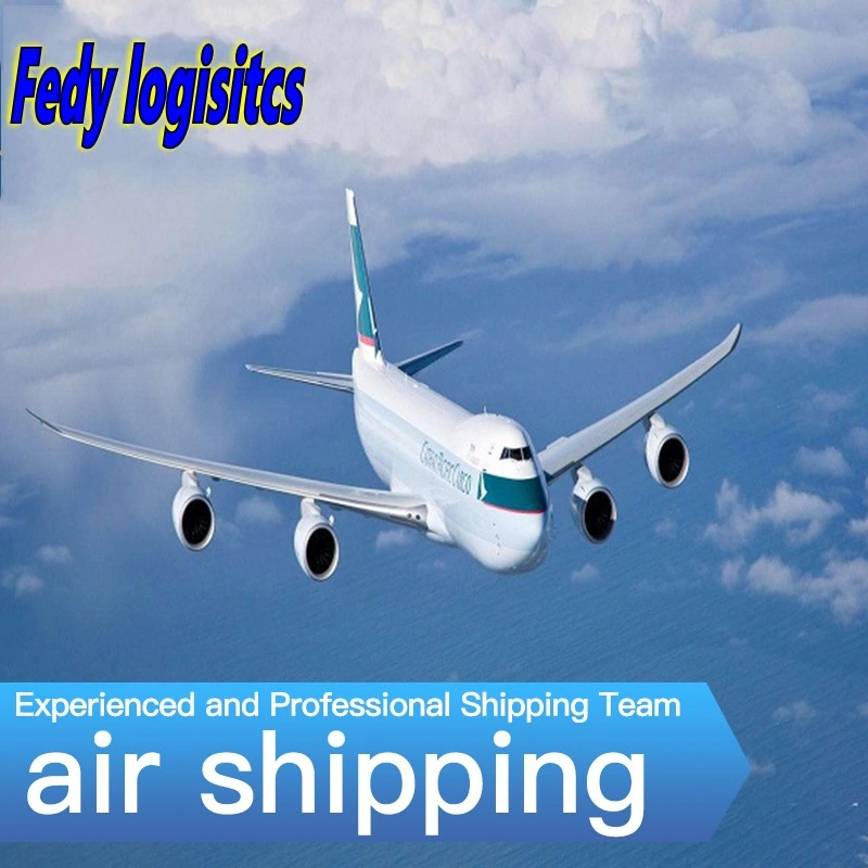 Agent d'exportation de Chine DDP Sea Shipping Air Cargo Freight Forwarder Vers la Suède/la Norvège/le Portugal FedEx/UPS/TNT/DHL Express agents d'expédition Service Logistique fret
